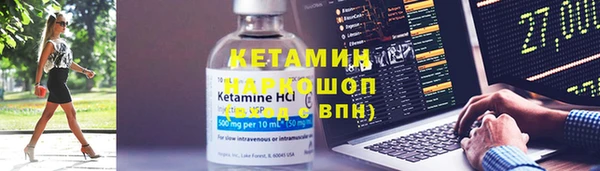 шишки Карпинск