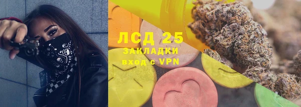 шишки Карпинск