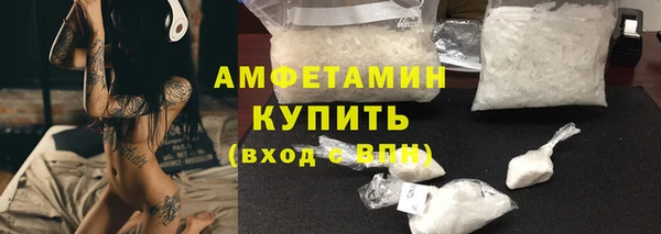 шишки Карпинск
