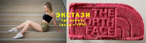 шишки Карпинск