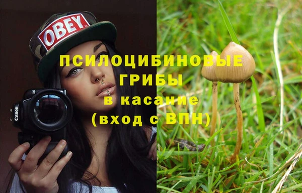 каннабис Каменск-Шахтинский
