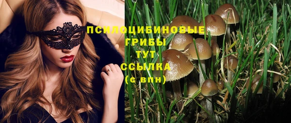 мет Касимов