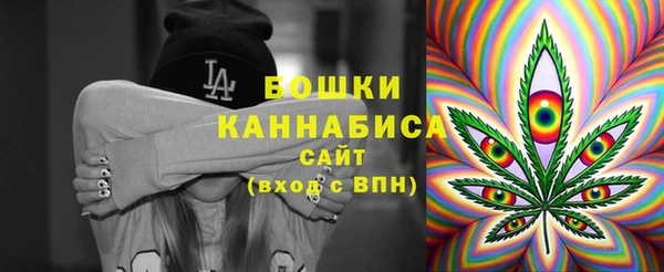 мет Касимов