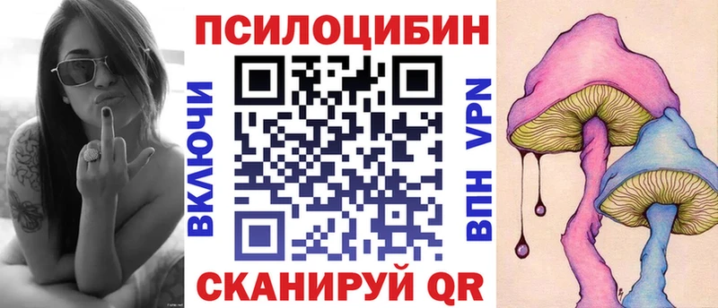 Купить где  Ленинск-Кузнецкий  Псилоцибиновые грибы прущие грибы 